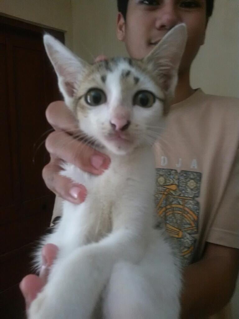 Tolong bantu saya yang bisa nerawang