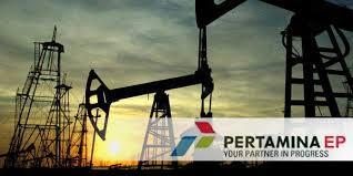 Gas Karbondioksida Ternyata Bisa Menjadi Komoditas Menguntungkan Pertamina dan Negara