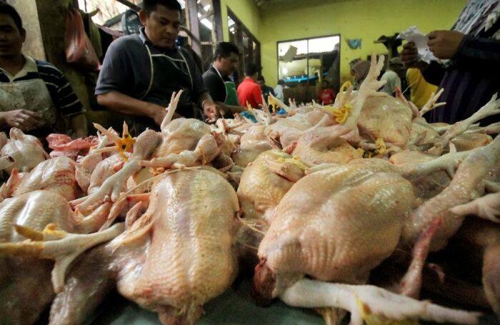 Benarkah harga daging ayam diatur kartel?