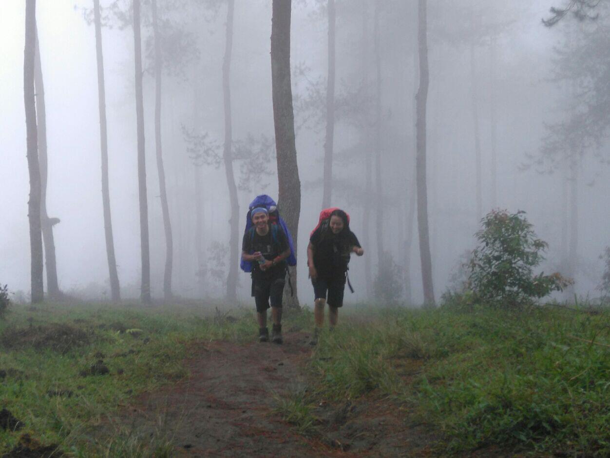 Piknik Bareng Travelliography: Pendakian Gunung Merbabu Via Suwanting 