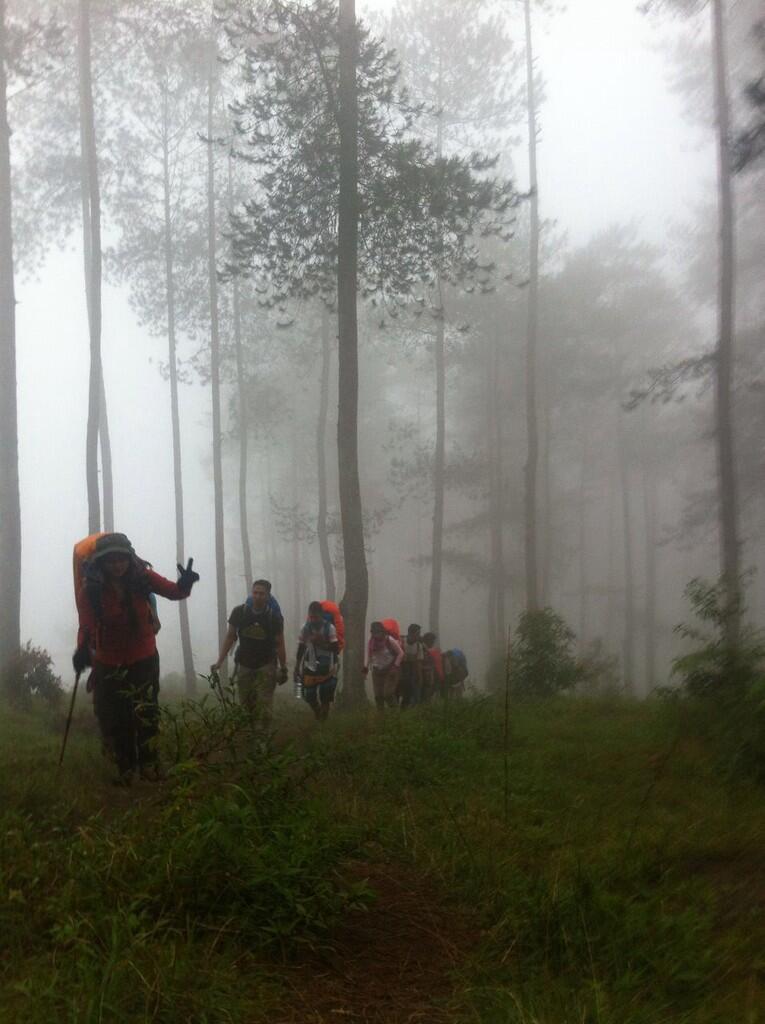 Piknik Bareng Travelliography: Pendakian Gunung Merbabu Via Suwanting 