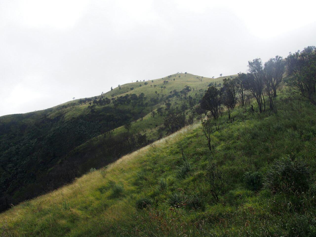 Piknik Bareng Travelliography: Pendakian Gunung Merbabu Via Suwanting 