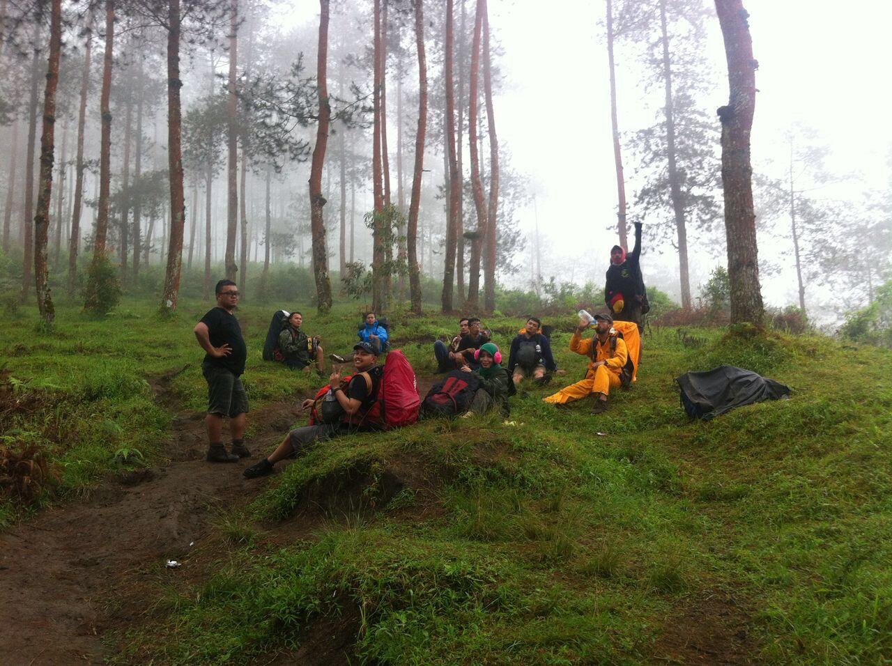 Piknik Bareng Travelliography: Pendakian Gunung Merbabu Via Suwanting 