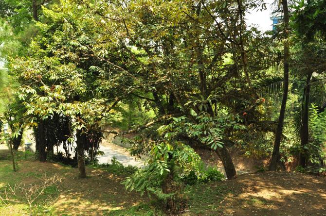 &#91;KOMBAT MERDEKA&#93; + Monumen Palagan Perjuangan 1945 Bojong Kokosan Sukabumi