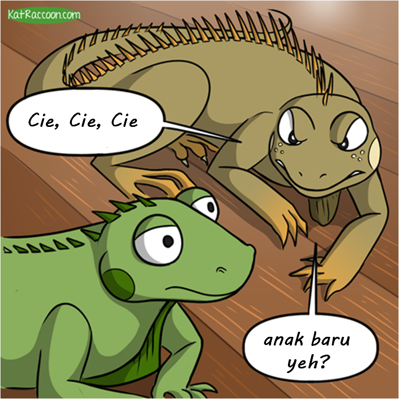 Penghilang STRESS dari KatRaccoon