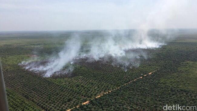 PT NSP Dihukum Bayar Rp 1 Triliun, Kemen LHK: Ini Kemenangan Rakyat!