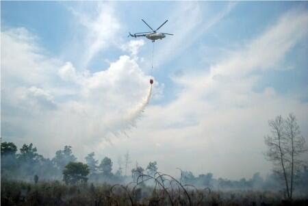 Kementerian LHK Menangkan Gugatan Terhadap Perusahaan Atas Kebakaran Hutan Riau