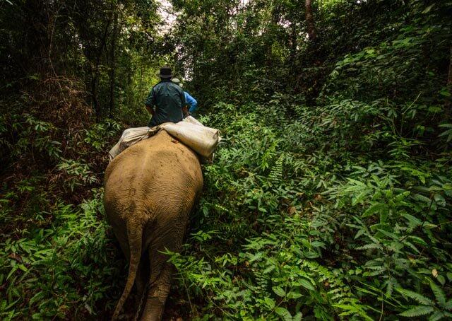 Destinasi Wisata Indonesia Terancam Rusak, Ayo Gan Selamatkan Keindahan yang Tersisa!