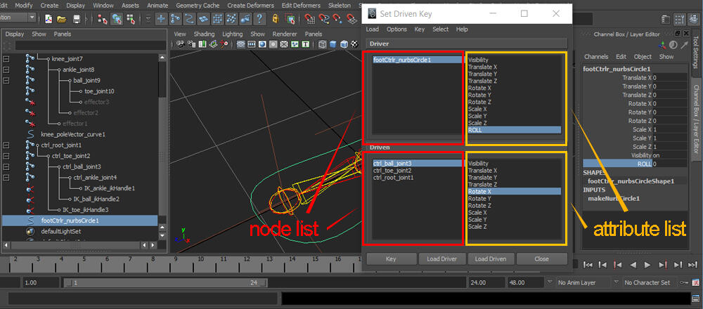 Animation c.A03 WALK CYCLE - ROLL SETUP