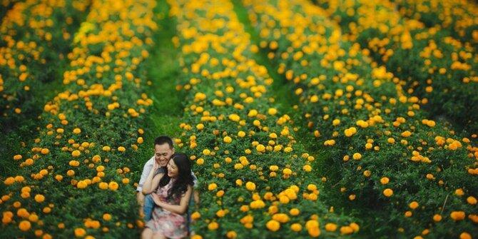 Taman Bunga Tercantik yang Ada di Indonesia