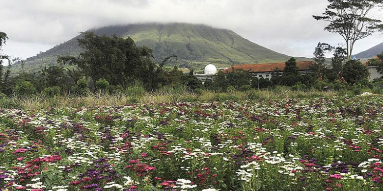 Taman Bunga Tercantik yang Ada di Indonesia