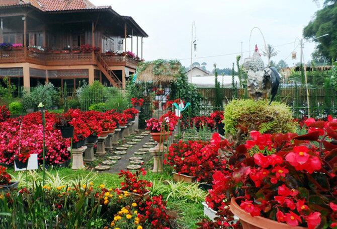 Taman Bunga Tercantik yang Ada di Indonesia