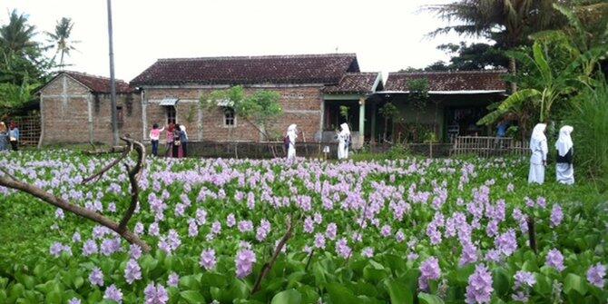  Taman  Bunga  Tercantik yang  Ada  di  Indonesia  KASKUS