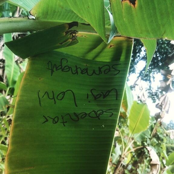 &#91;CATPER&#93; Sanghyang Heuleut