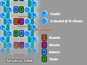 Tes DNA apakah akurat &amp; dapat dipercaya (cekidot gan...ini penjelasannya)