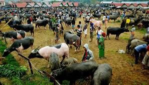 Pasar di Indonesia Yang Unik