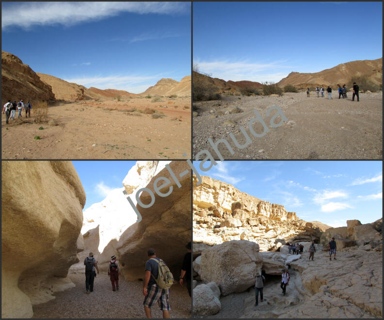 Trips Group Israel Only