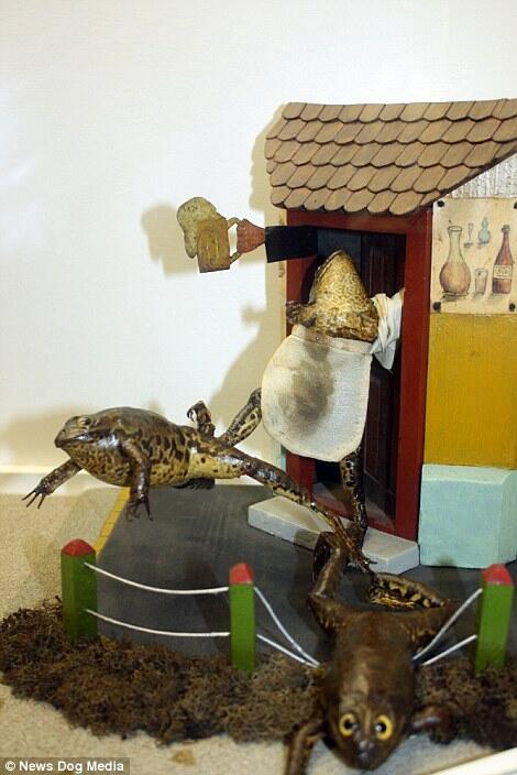 Mungkin begini jadinya andai manusia menjadi katak ! Wow