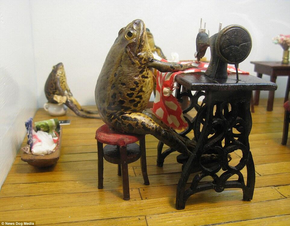 Mungkin begini jadinya andai manusia menjadi katak ! Wow