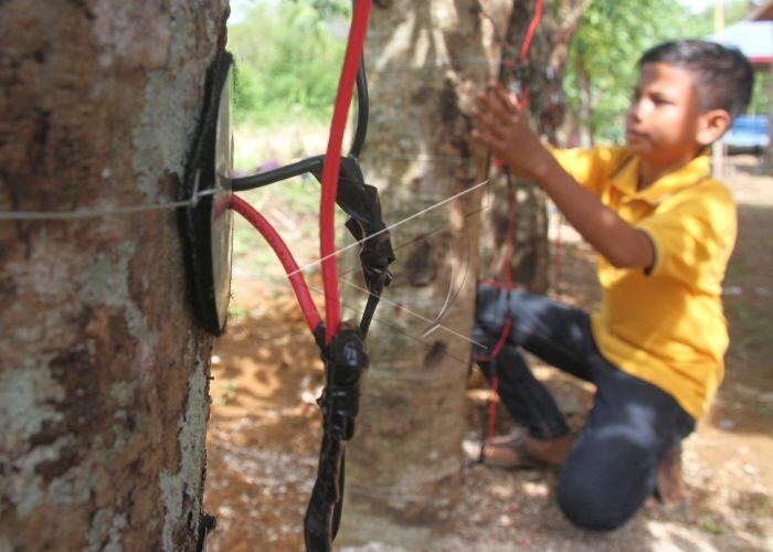 Pelajar Naufal Rizki (15 Tahun) Penemu Energi Listrik Nabati di Aceh