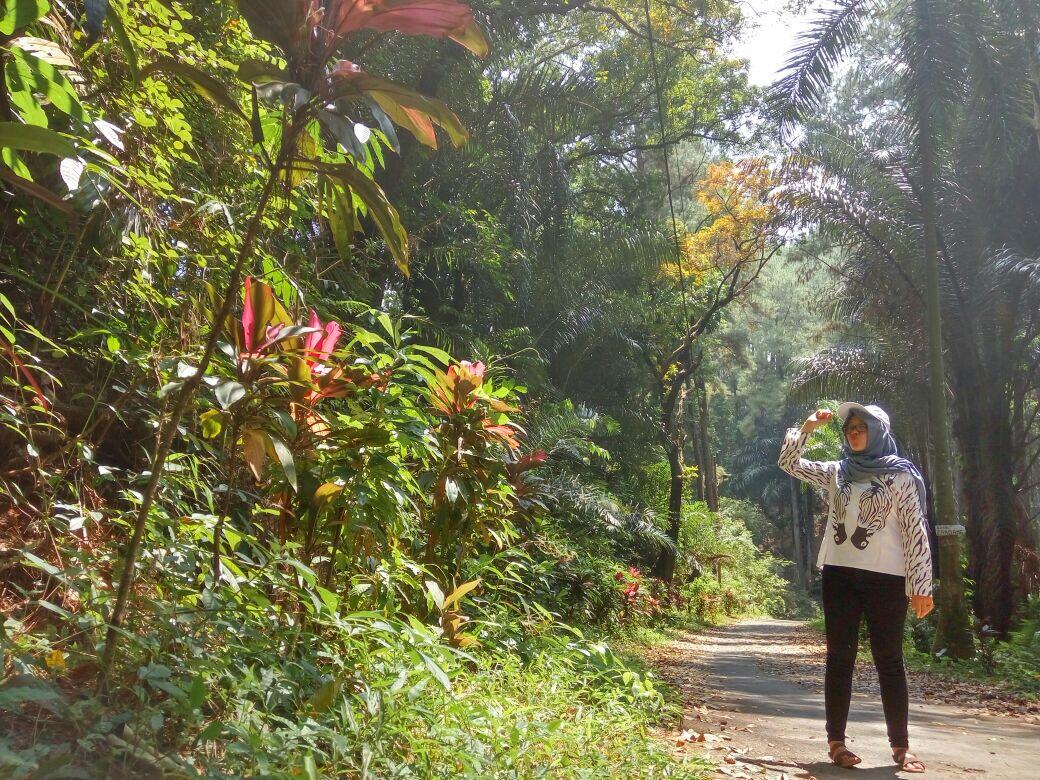 &#91;Just Share&#93; Wana Wisata Penggaron, Semarang