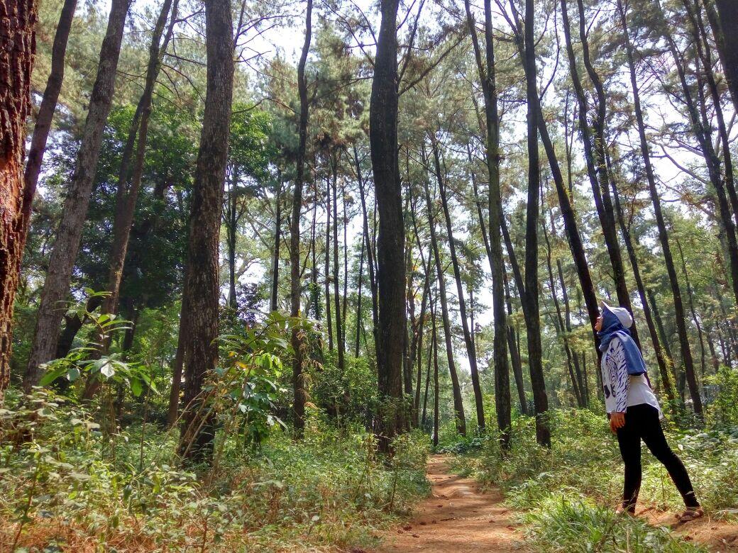 &#91;Just Share&#93; Wana Wisata Penggaron, Semarang