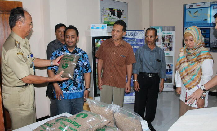 Sleman Genjot Produksi Susu Kambing