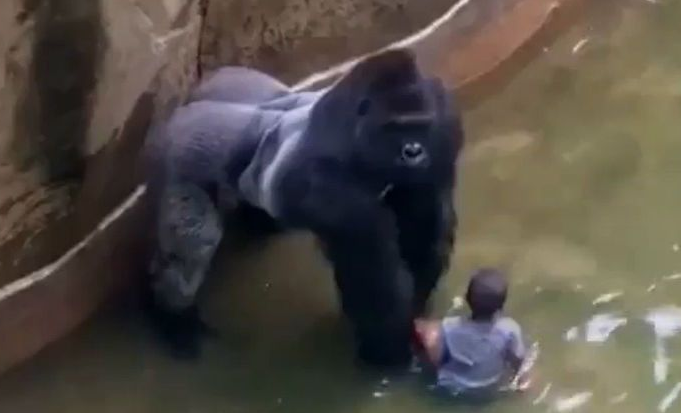 Ini mengapa Peristiwa kebetulan sangat jarang terjadi