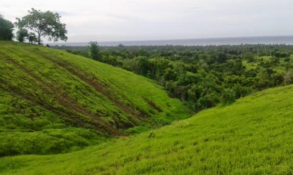 Biar ke Bali Nggak ke Situ-Situ Aja, Coba deh Kesini!