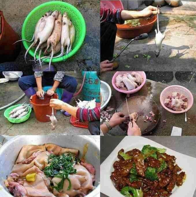 10 Makanan palsu buatan China