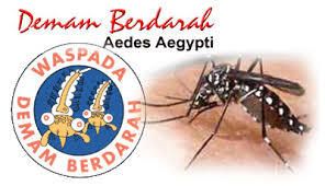 &#91;Lomba&#93; Sembuh Dari Penyakit Demam Berdarah Dengue