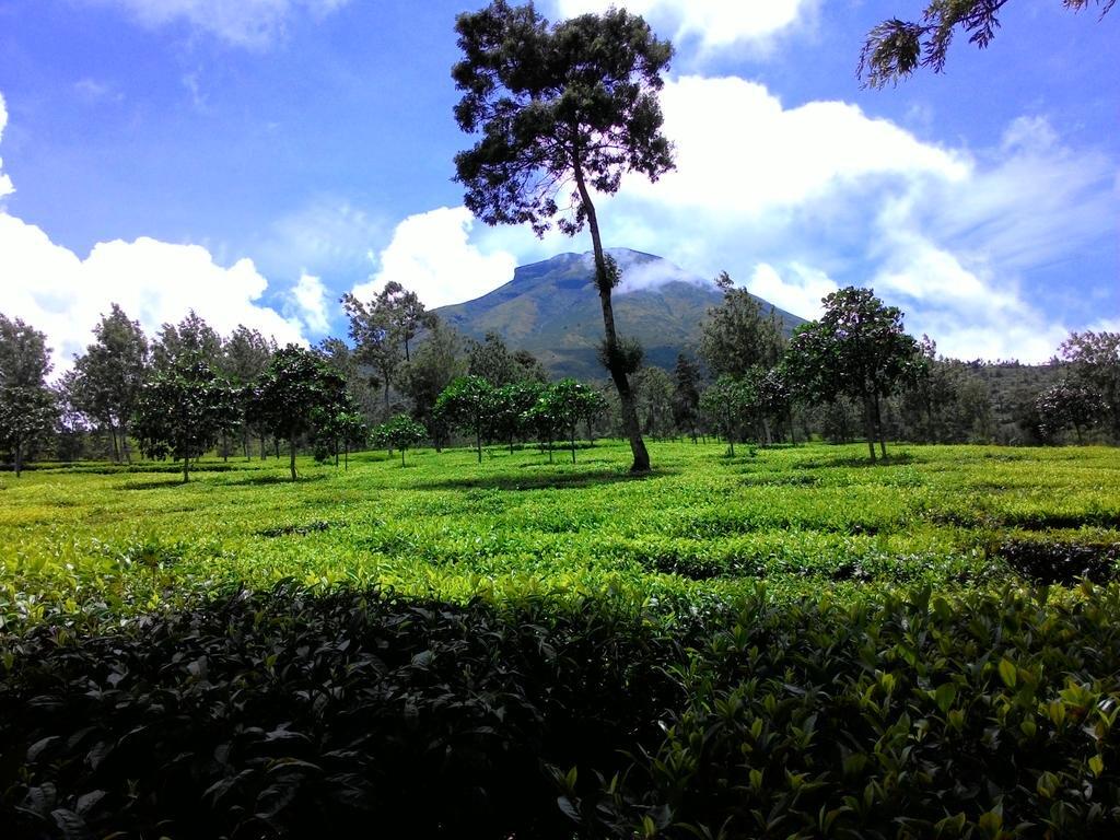 PENDAKIAN GUNUNG SINDORO VIA TAMBI