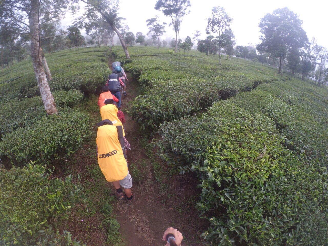 PENDAKIAN GUNUNG SINDORO VIA TAMBI