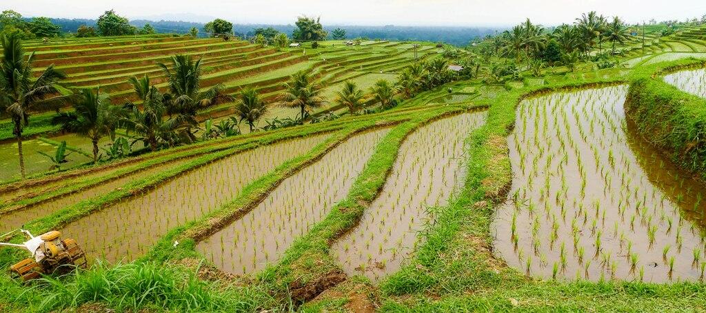 Pulau Seribu Pura bukti Jejak Mahakarya Indonesia