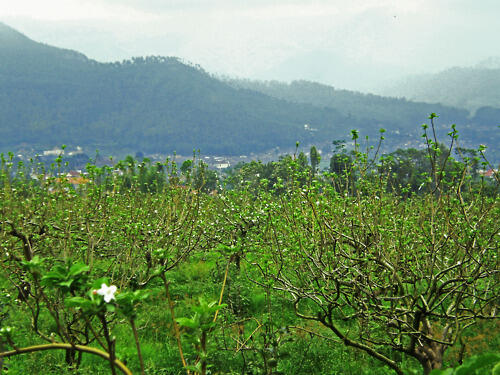 9 Destinasi Wisata di Malang Yang Wajib di Kunjungi