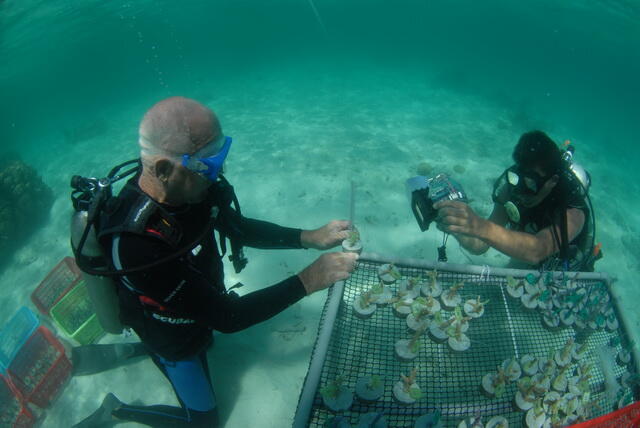 12 Hal yang bisa di lakukan di pulau macan