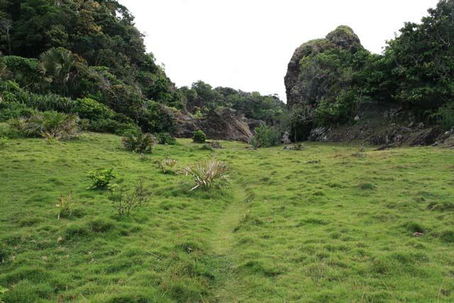 5 Destinasi Wisata Taman Nasional Ujung Kulon