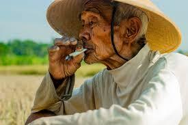 Mengenai Gambar-gambar mengerikan yang ada di bungkus rokok