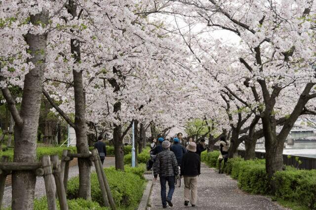 Ini Dia 5 Tempat Romantisnya Orang Jepang Buat Pacaran di Osaka Gan!