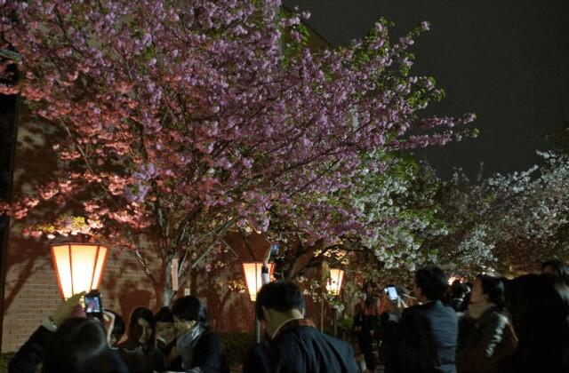 Ini Dia 5 Tempat Romantisnya Orang Jepang Buat Pacaran di Osaka Gan!