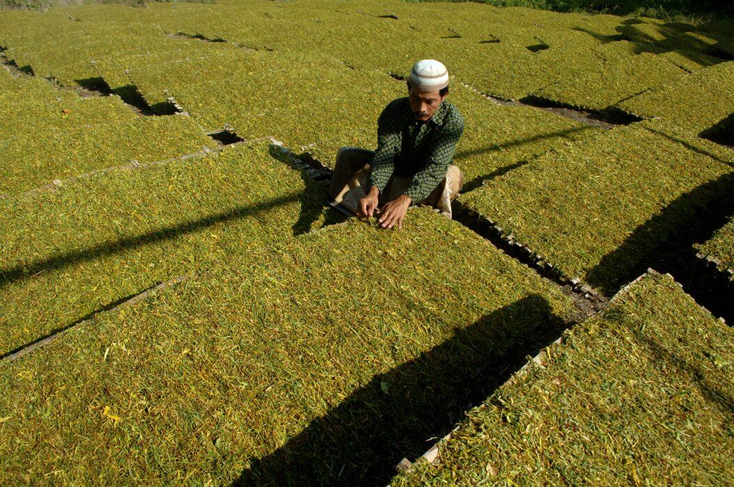 Wacana Kenaikan Harga Rokok dan Tinjauan Alakadarnya