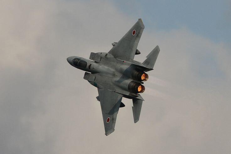 YANG DITUNGGU2 FORMILER : Su-30MKK PLANAF vs F-15J JASDF