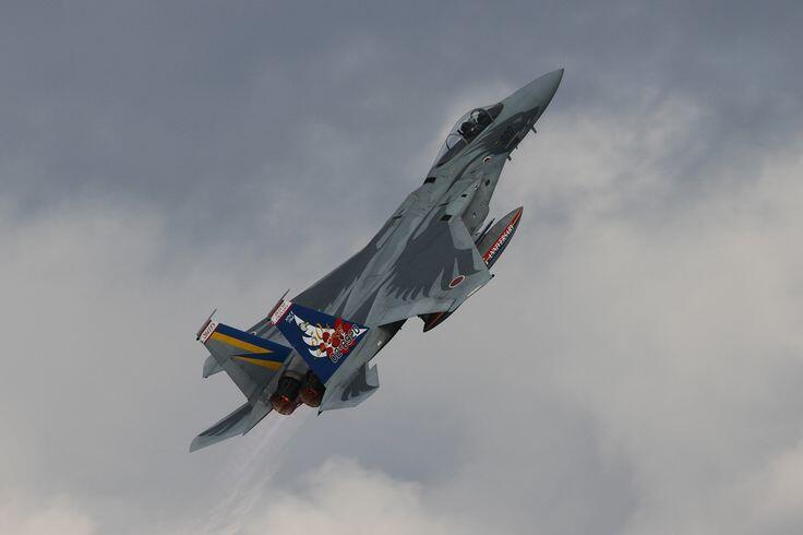 YANG DITUNGGU2 FORMILER : Su-30MKK PLANAF vs F-15J JASDF