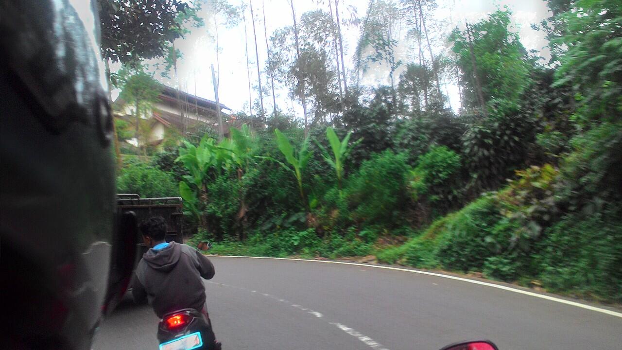 Galeri Photo Situ Cileunca (Tempat Alam WIsata Bandung)