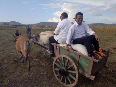 Kementan Ingin Jadikan Gorontalo Lumbung Jagung Nasional