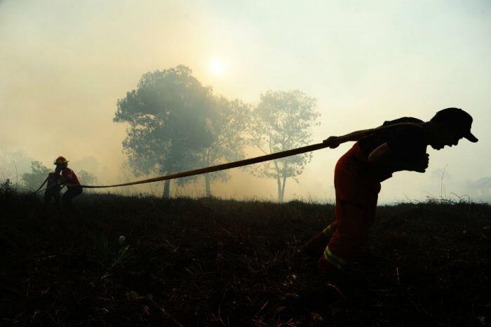 Asap kebakaran hutan mulai merambah Singapura