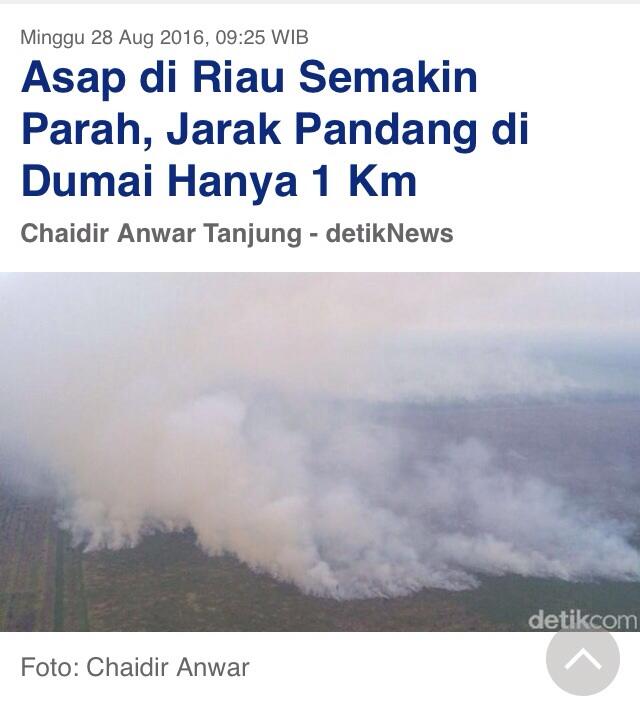 Asap di Riau Semakin Parah, Jarak Pandang di Dumai Hanya 1 Km