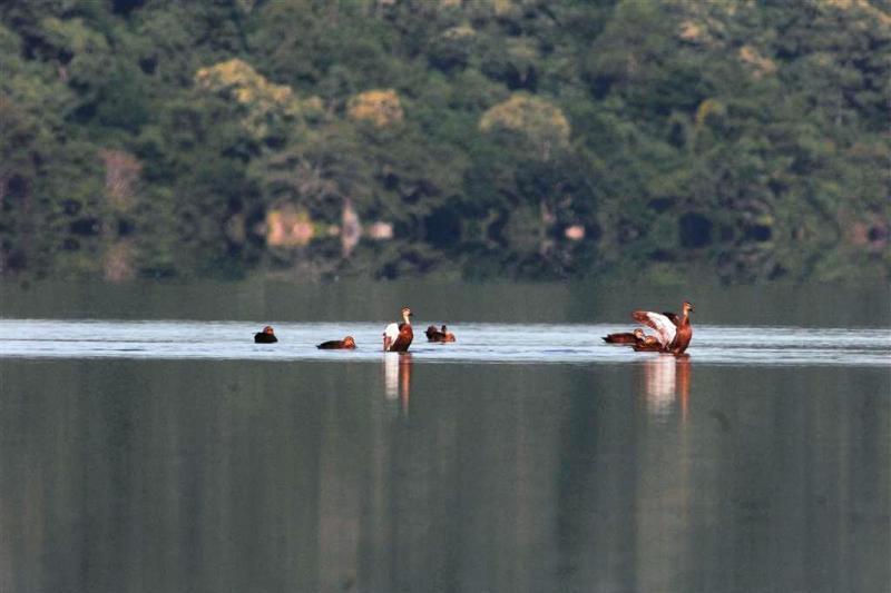 Keindahan danau Sano Nggoang di Manggarai pulau Flores