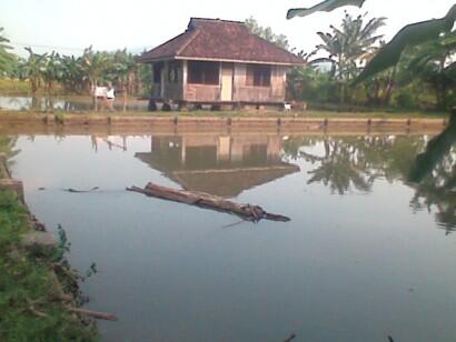 Maho dilarang masup, Tempat buat nembak gebetan nyang paling berkesan ni bray