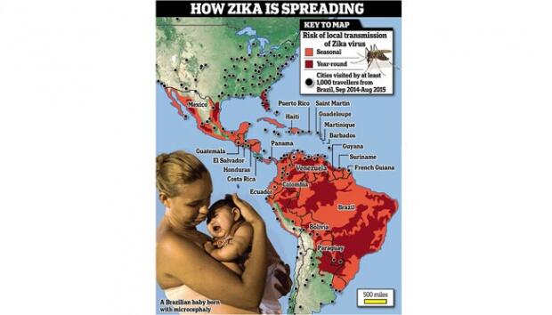 BAHAYA, Virus Zika Sudah Masuk Indonesia
